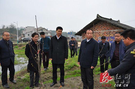 禹敏与第一师范党委书记彭小奇商讨白泥村脱贫攻坚工作